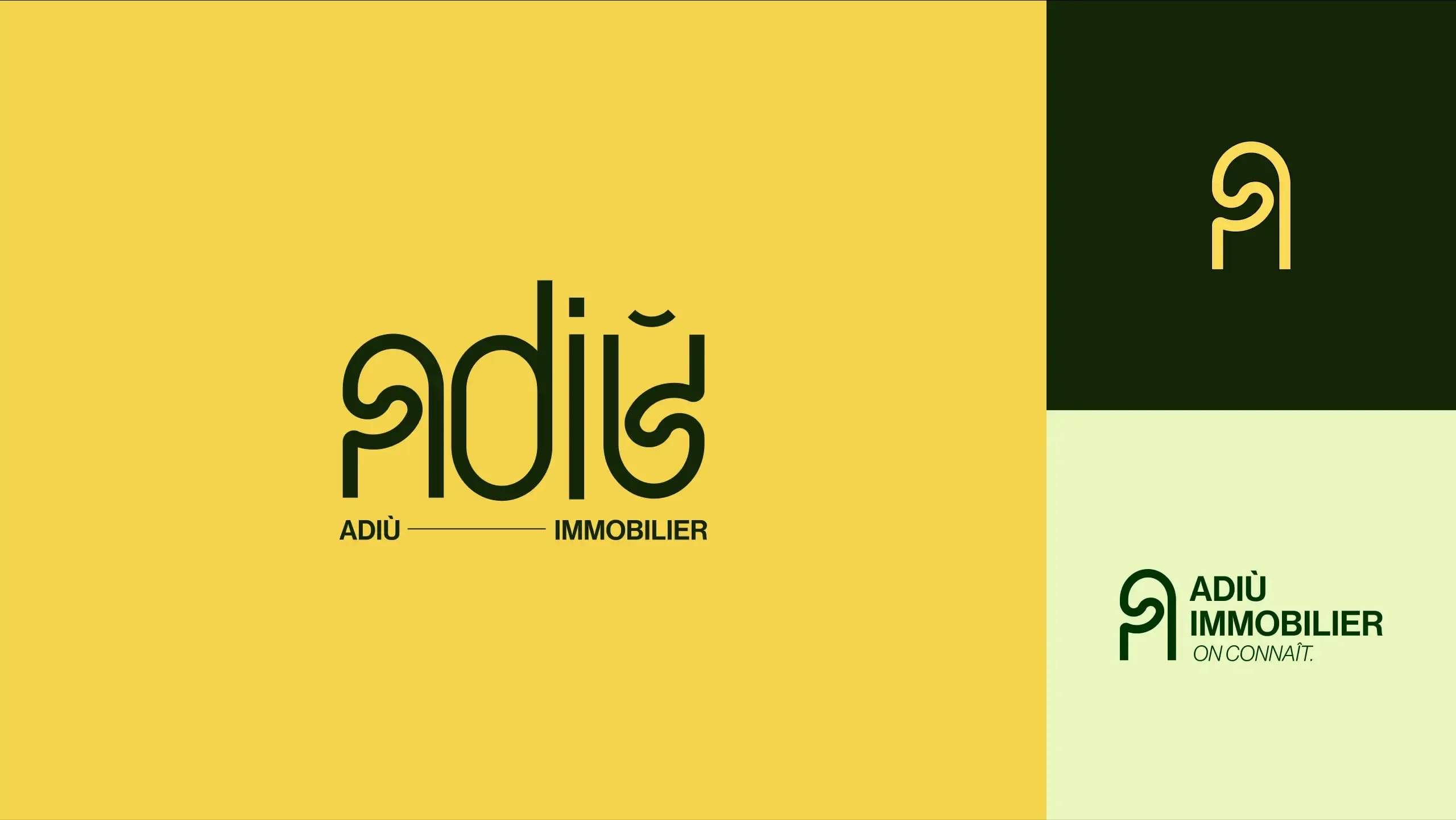 Visuels du projet 